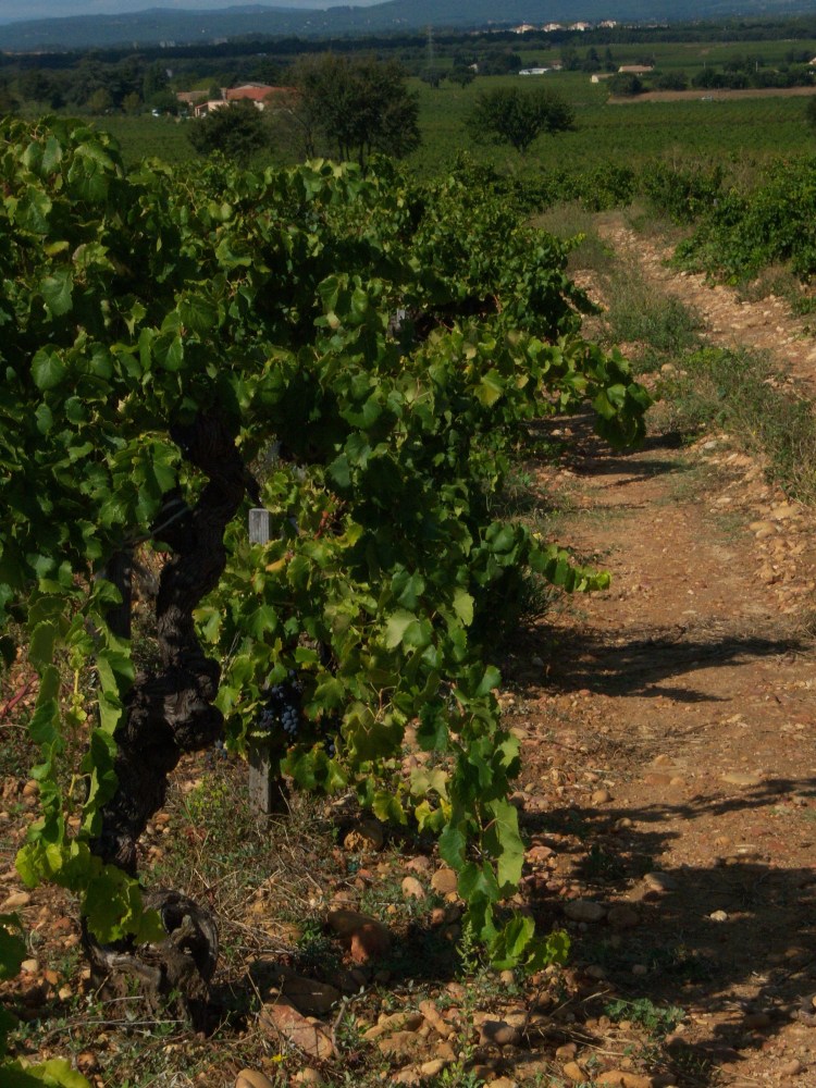 Touring France and Provence