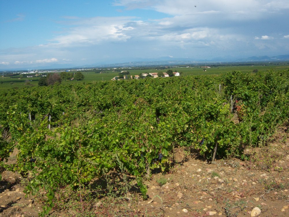 Touring France and Provence