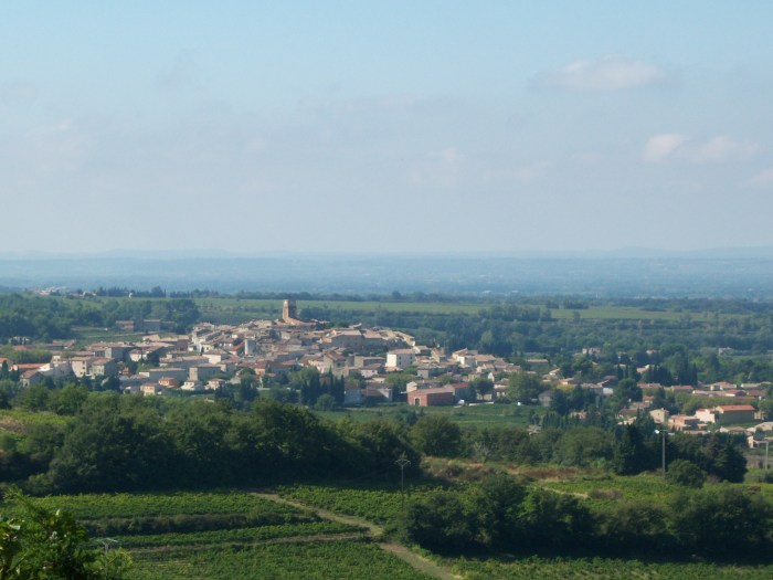 Patricia Wells Provence