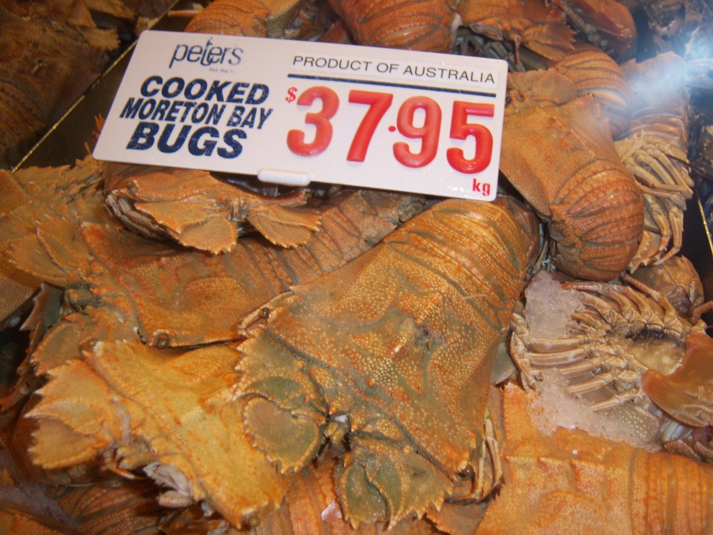 Sasha Grey Australia Adventure