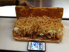 Fatso burger challenge