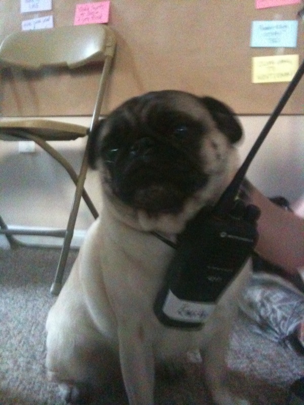 jerseylicious production