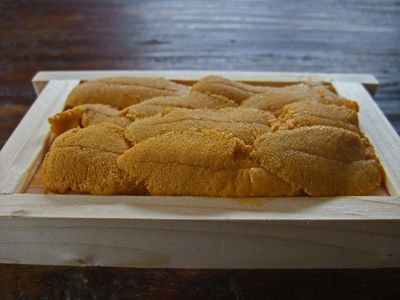 tokyo fish market sea urchin