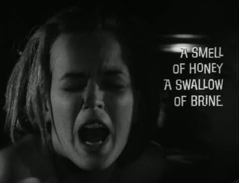 asmellofhoneyaswallowofbrine_1966_