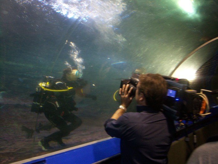 Shark Tank Sasha Grey sharks