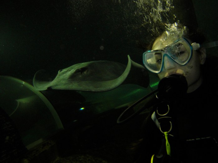 Sasha Grey and Stingray