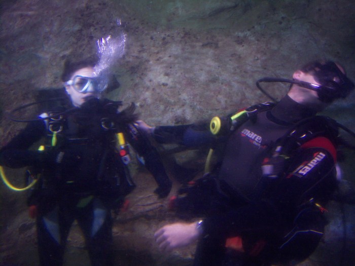 Sasha Grey Shark Tank