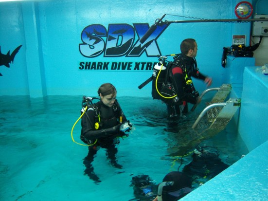 Sasha Grey shark diving