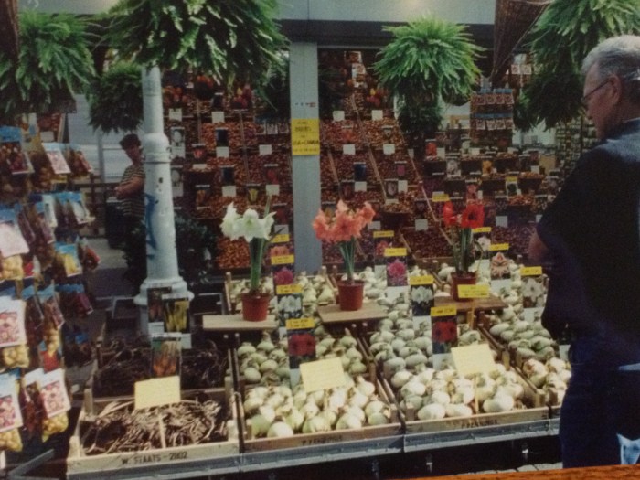 Amsterdam flower stall