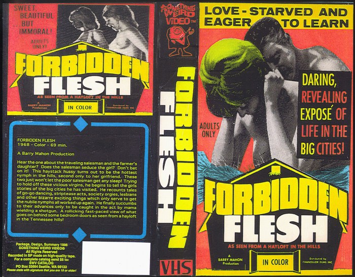 FORBIDDEN-FLESH-SOMETHING-WEIRD-VIDEO