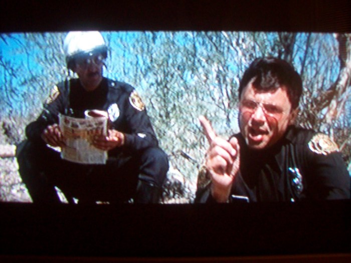 electra glide in blue