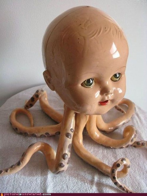 Octopus Baby