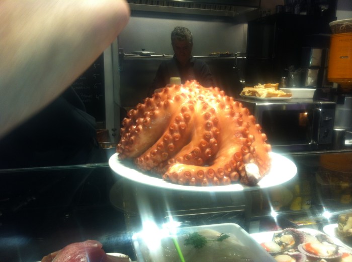 behold the octopus
