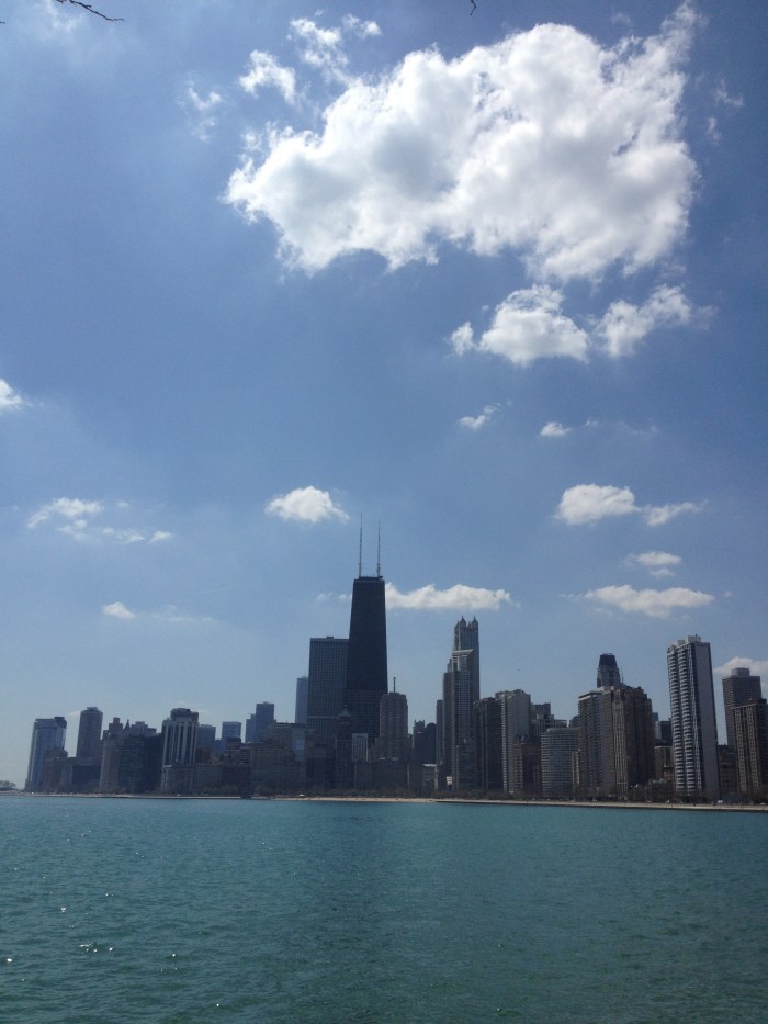 Chicago Illinois skyline