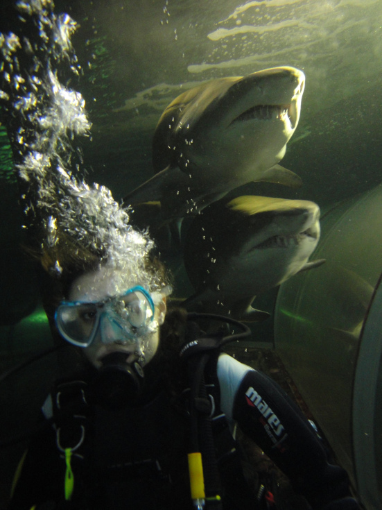 sasha-with-two-overhead-sharks