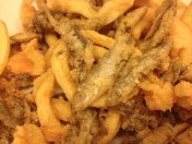 small fried fish Barcelona tapas