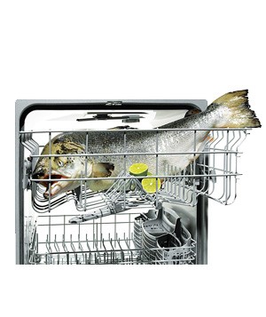 cooking salmon in a dishwasher