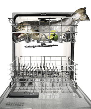 dishwasher salmon