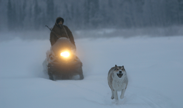 best documentaries ever