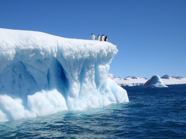 devil-island-iceberg-weddell-sea-adelie-penguins-antarctica