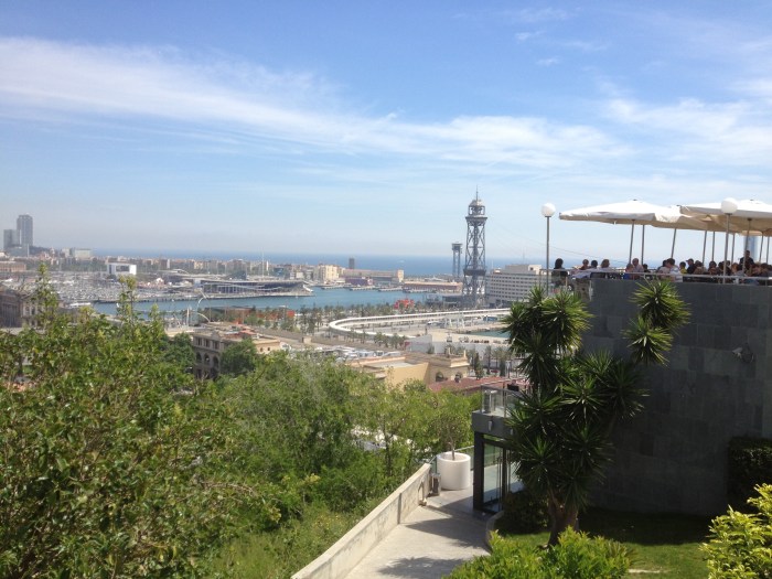 Aerial tram tower from park