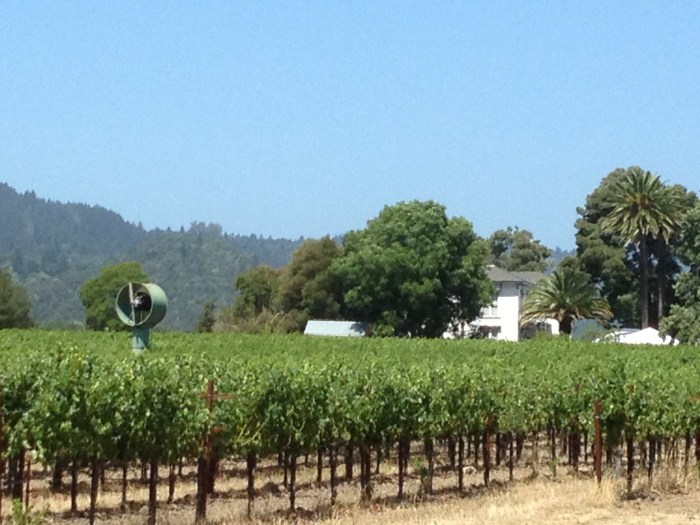 Mike Grgich 90th birthday party