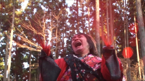 samurai-princess ninja warrior