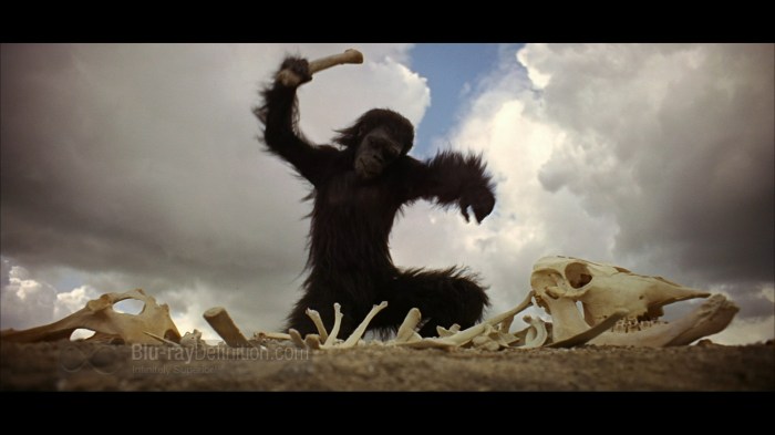 film fight club 2201