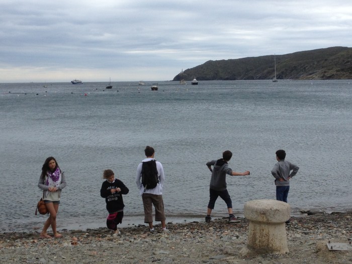 Cadaques rock skippers