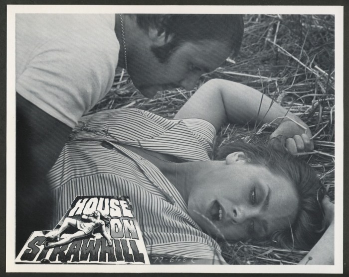 HOUSE+ON+STRAW+HILL+2