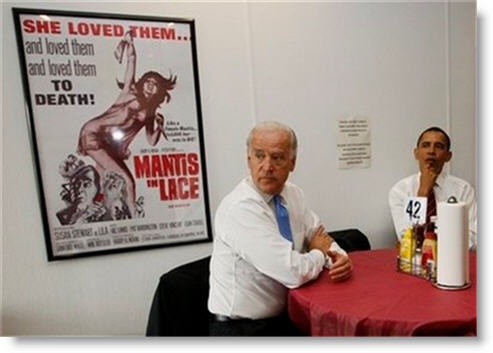 rays-hell-kitchen-biden-obama-mantis-and-lace-poster-2009