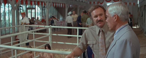 Hidden-Gem-Prime-Cut