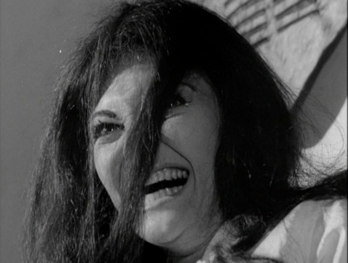 CONFESSIONS-OF-A-PSYCHO-CAT___