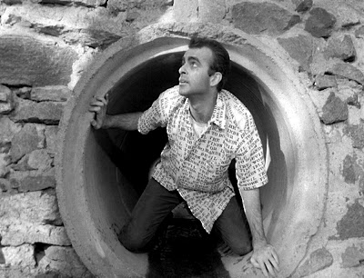 Confessions+of+a+Psycho+Cat