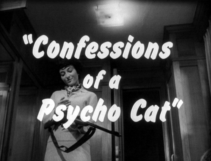 Confessions+of+a+Psycho+Cat