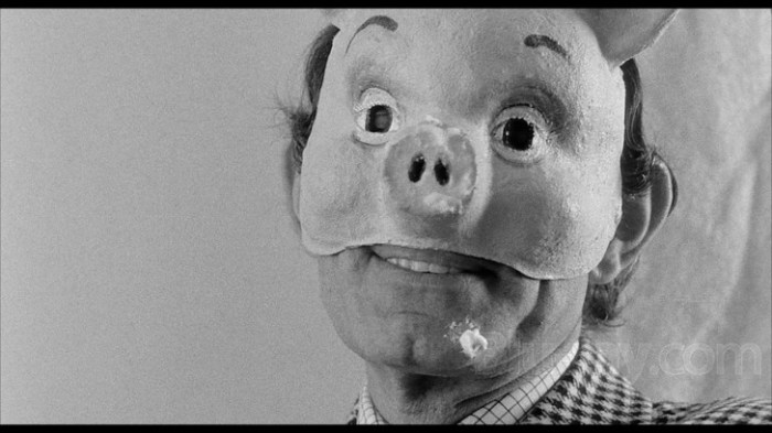 obscure cult classics