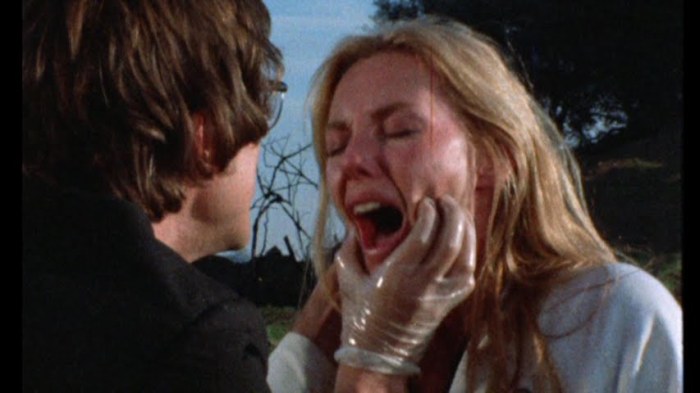 centerfold girls exploitation