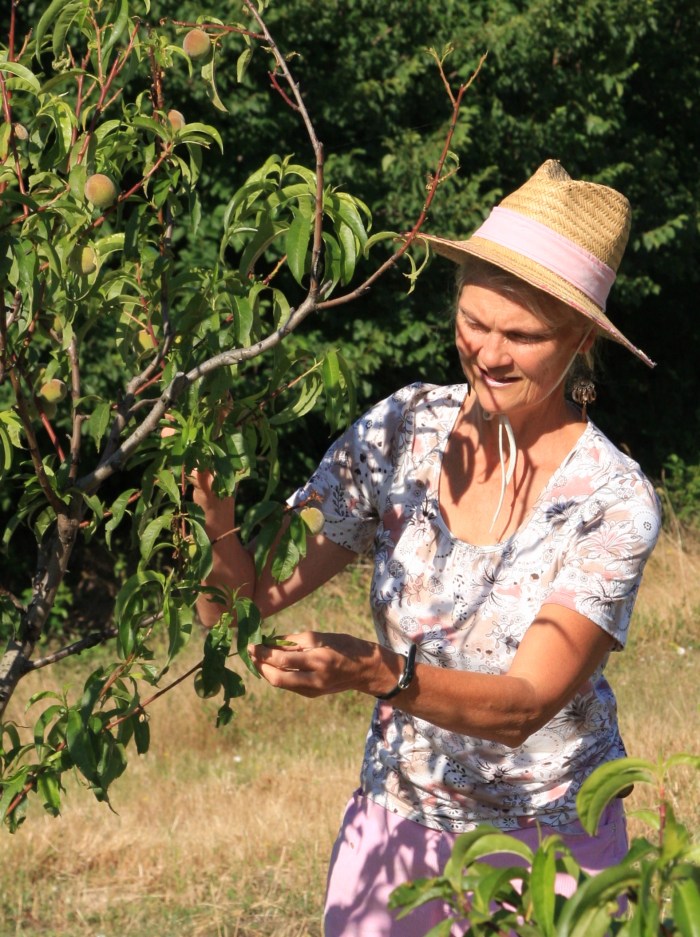 lucy irvine faraway book