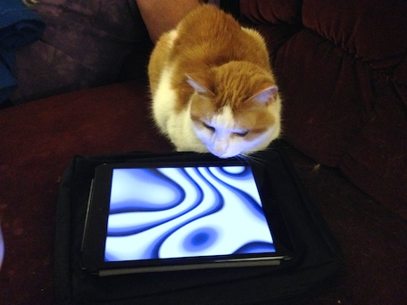 Todd Rundgren flowfazer