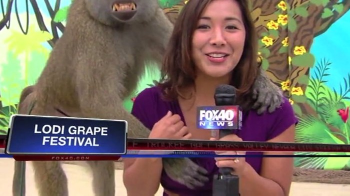 best-local-news-bloopers-from-2013
