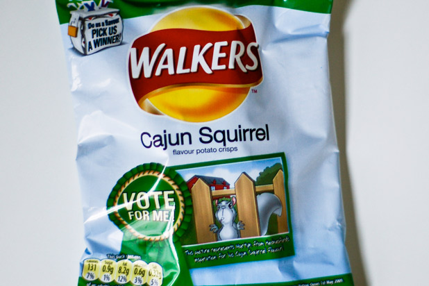 cajun squirrel potato chip