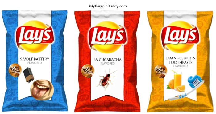 Rejected-Lays-Chips-Flavors