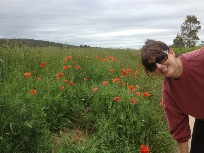 classic spanish countryside