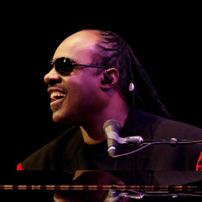 stevie wonder in concert