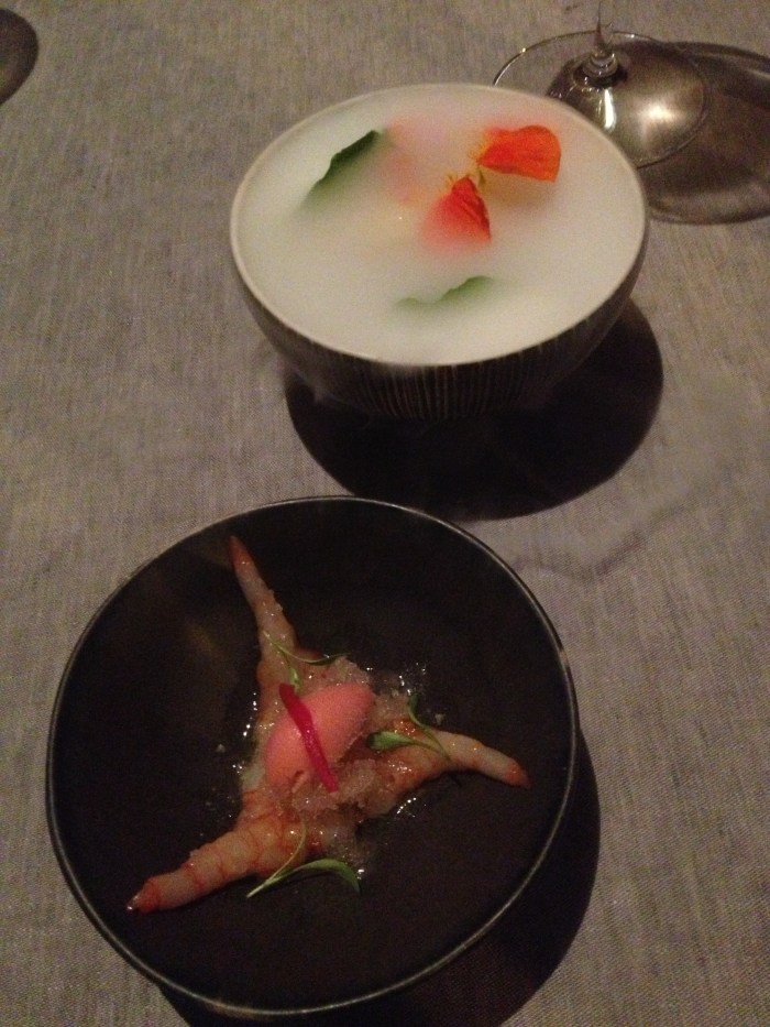 Comerc24 shrimp with sorbet