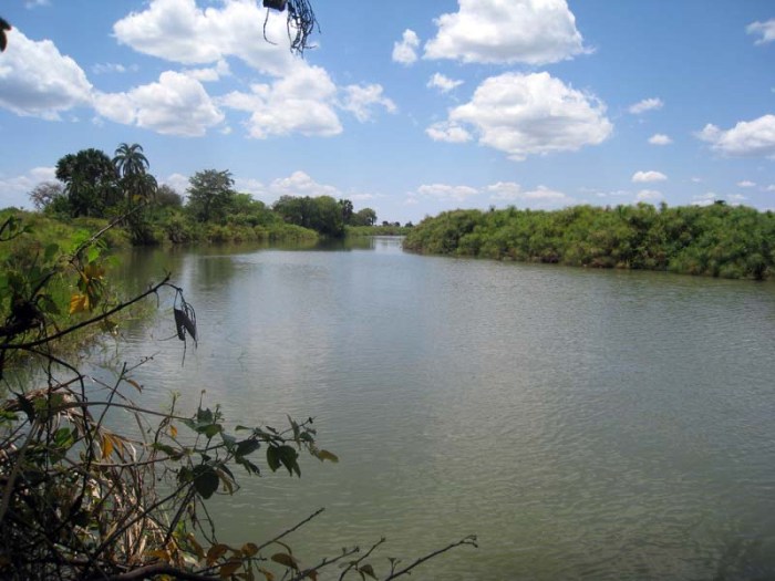Malagarasi river