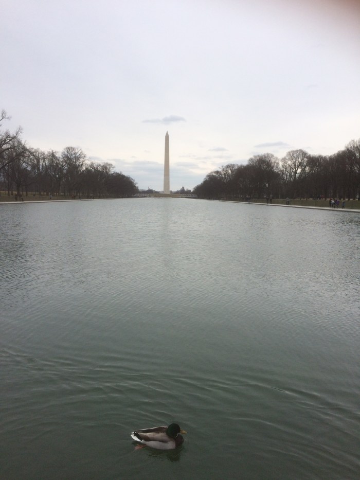 WAshington DC tourist sites
