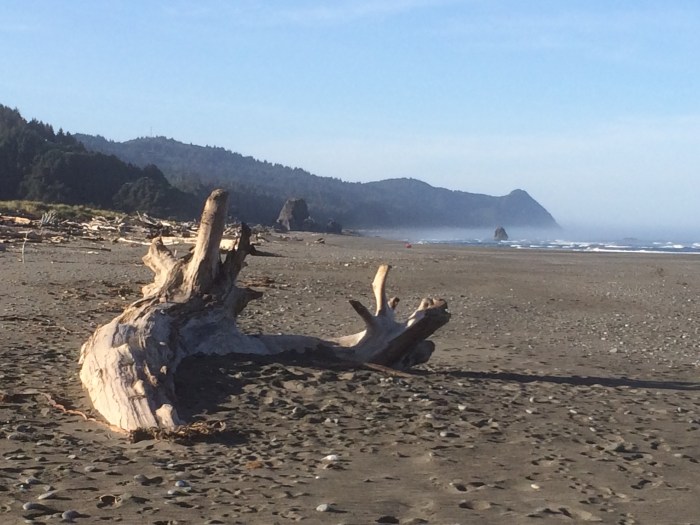 Oregon coast beach getaways