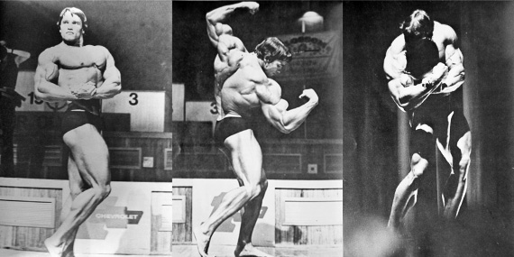 arnold-a-z-the-essential-arnold-schwarzenegger-library_b