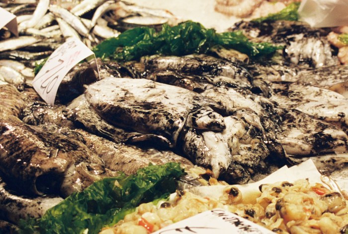 Venice fish market squid